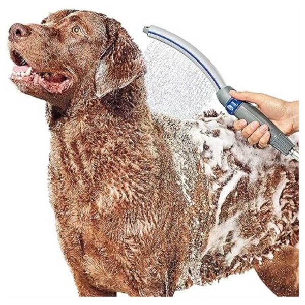 Complete Dog Bathing