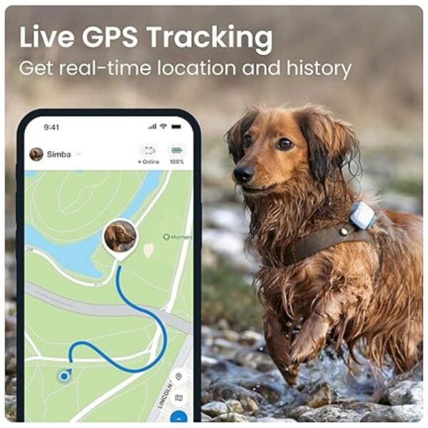 GPS Tracker for Dogs - Waterproof tracker attached to a dog’s collar for real-time location tracking.