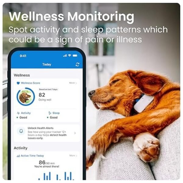 Pet owner monitoring dog’s activity levels and health with the GPS Tracker for Dogs - Waterproof via Tractive app