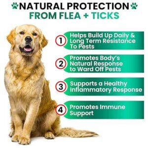 Natural chews for dogs with flaxseed, brewer's yeast, neem, and vitamins for effective pest protection results