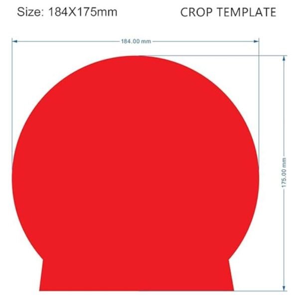 Indoor Cat Door dimensions