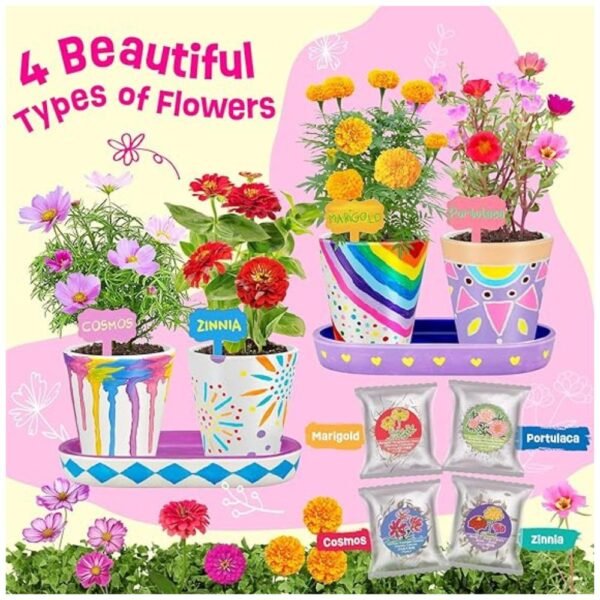 Close-up of the 4 flower varieties included in the kit: Marigold, Cosmos, Zinnia, and Portulaca, ready to be planted and grown