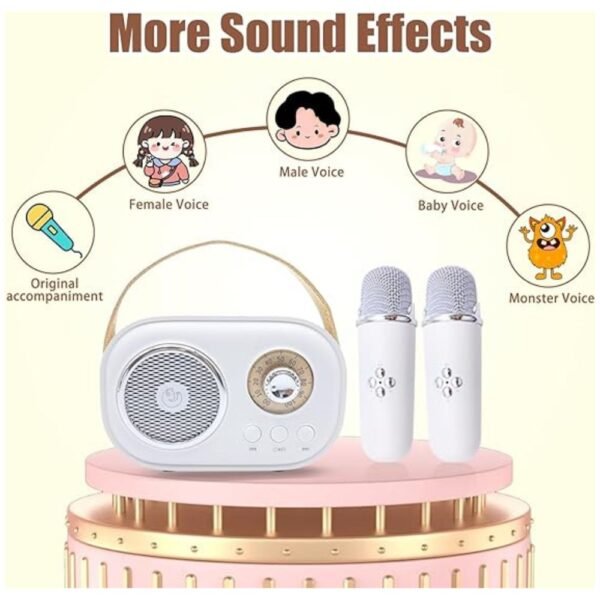 Display showing various sound effects available on the karaoke machine