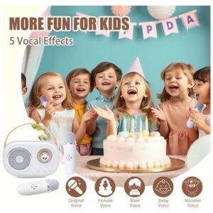 Five vocal effects on the mini karaoke machine: original, KTV, female, male, magic