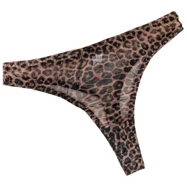 Flat lay of Mesh Sheer Push-Up Lingerie Set, highlighting the complete set with intricate design elements