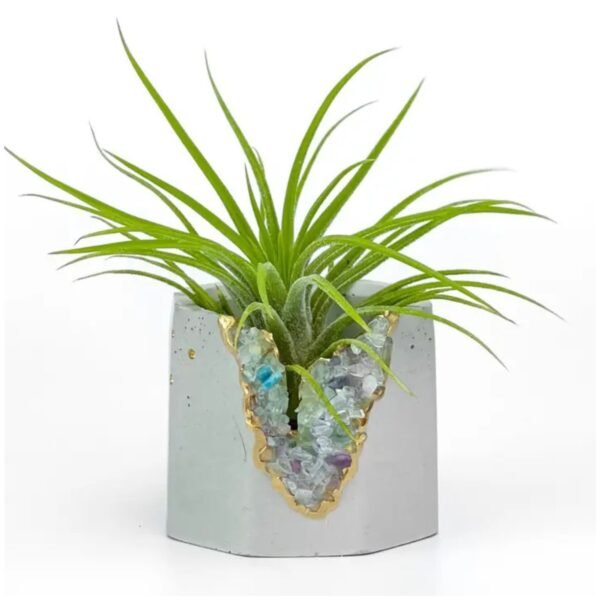 decor tiny planter set