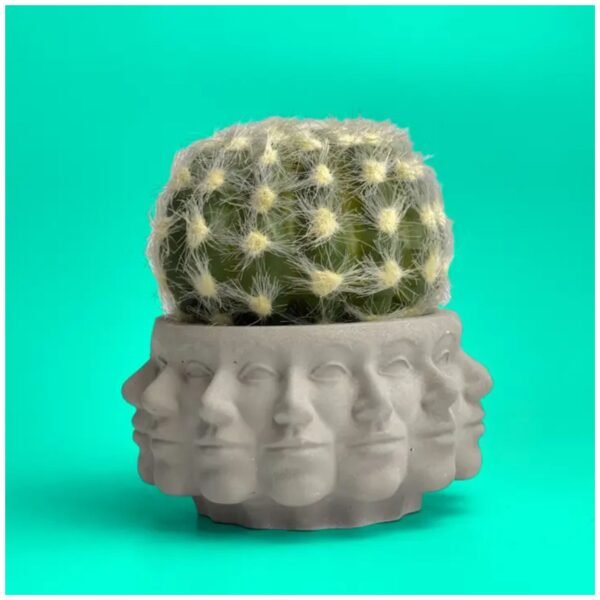 Ceramic Cactus Pots