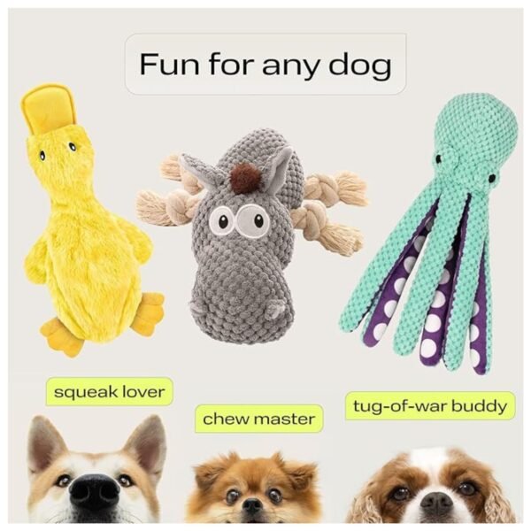 Dog enjoying playtime with one of the squeaky chew toys from the 3-pack set.