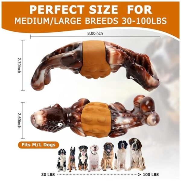Detailed size specifications of dog chew toy for medium and large breeds.