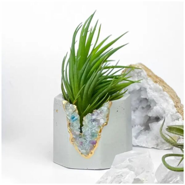 Fluorite geode planter – small crystal and concrete pot for succulents and air plants.