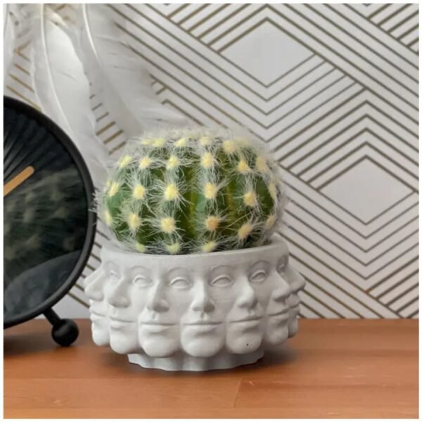 Multi face succulent planter – artistic polyface cement pot for home decor.
