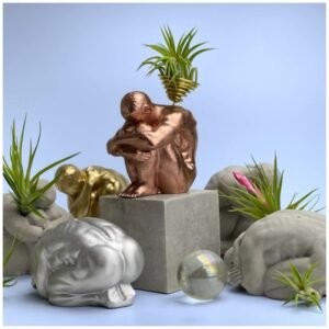 Male body air plant holder – sculptural concrete torso planter.