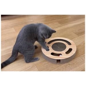 Kitten batting at the rolling soccer ball with its paws, actively engaged in the toy