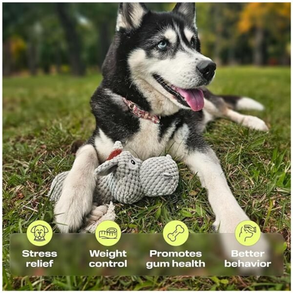 Close-up of chew toys showing the variety of textures and squeaky features for dogs