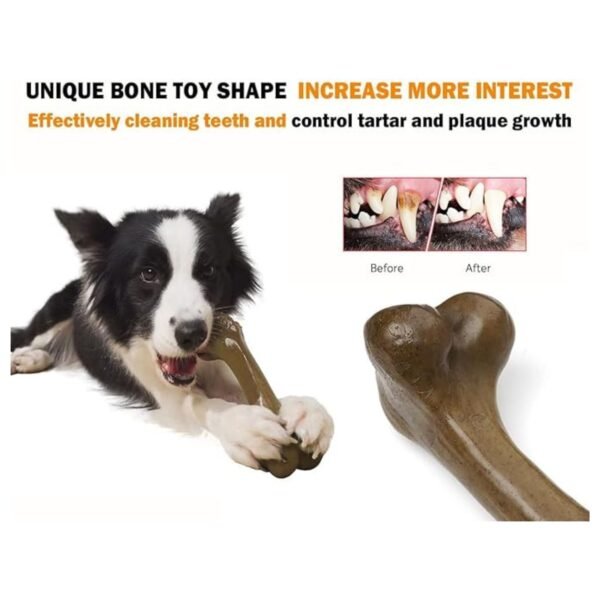 Key benefits of indestructible nylon chew toys, including stress relief and improved dental health.