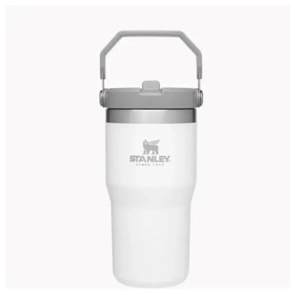 20 oz Stanley Flip Straw Tumbler featuring a stylish pickleball paddle design, perfect for sports enthusiasts.