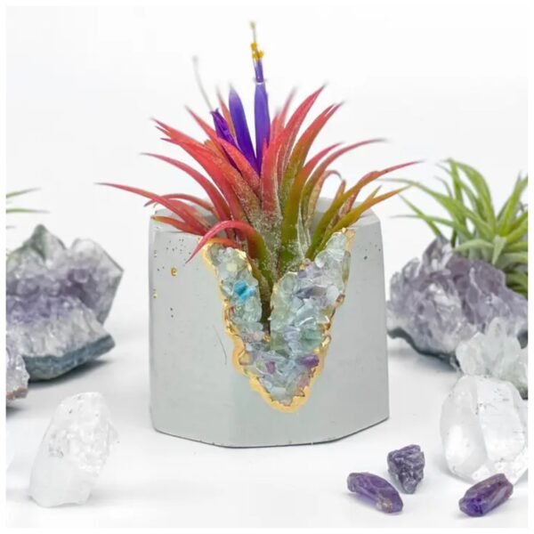 Fluorite geode planter – small crystal and concrete pot for succulents and air plants.