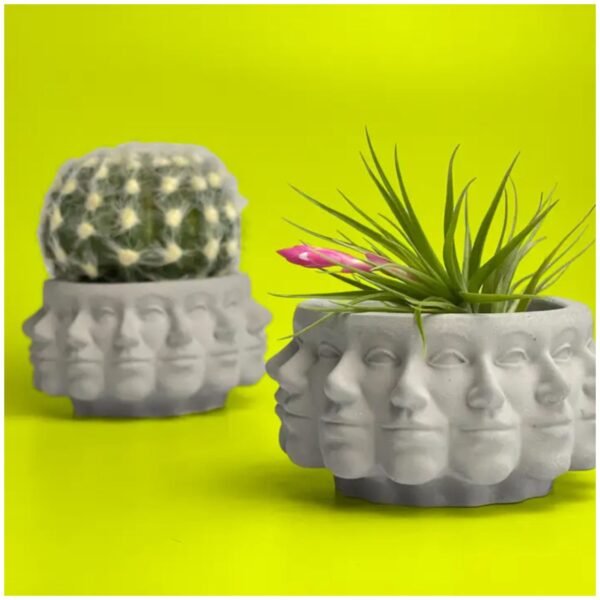 Multi face succulent planter – artistic polyface cement pot for home decor.