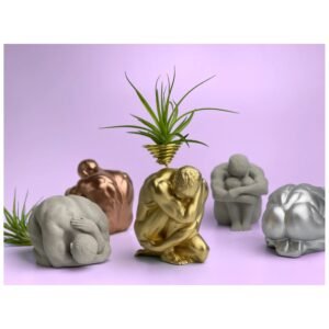 Male body air plant holder – sculptural concrete torso planter.