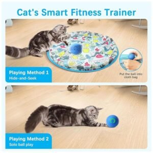 Cat actively pouncing and playing with the toy, promoting indoor exercise and fitness.