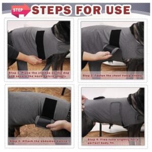 Step-by-step guide showing how to put on the dog anxiety vest, featuring easy adjustments for a perfect fit.