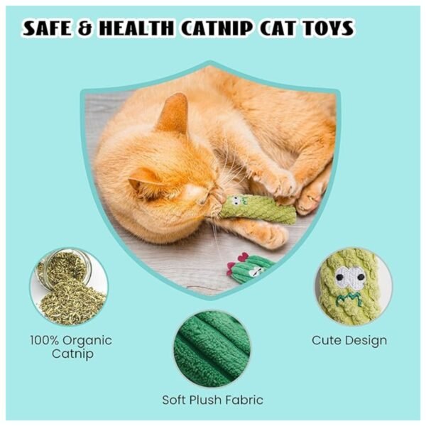 Durable and non-toxic cactus toys designed for safe play, crafted with high-quality materials.