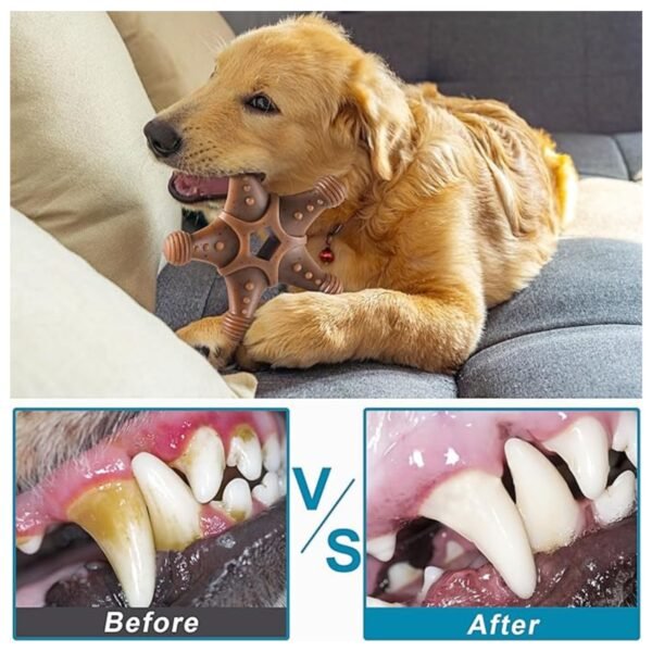 Dog chewing on toy, promoting dental hygiene and reducing plaque buildup.