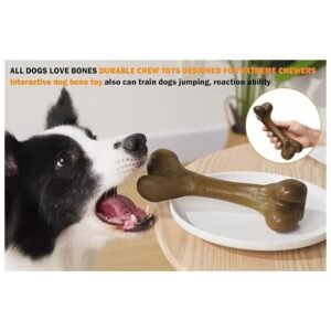Happy dog playing with beef-flavored chew toy on the beach, ideal for outdoor play