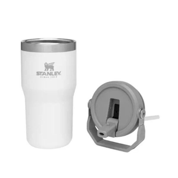 20 oz Stanley Flip Straw Tumbler featuring a stylish pickleball paddle design, perfect for sports enthusiasts.