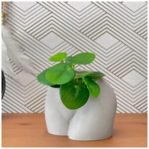 Cement butt planter – nude woman body vase for succulents, flowers, or home decor