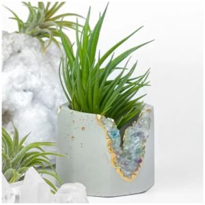 Fluorite geode planter – small crystal and concrete pot for succulents and air plants.