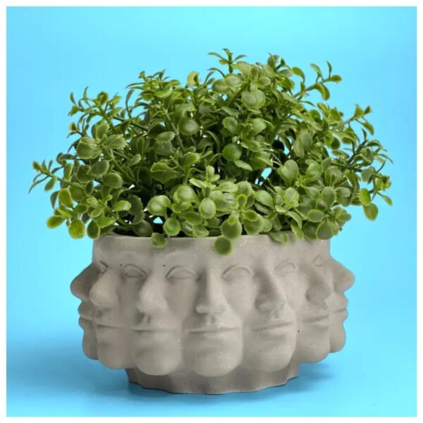 Multi face succulent planter – artistic polyface cement pot for home decor.