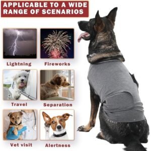 Dog wearing the anxiety vest in various scenarios such as during thunderstorms, fireworks, vet visits, and travel, showing versatility in reducing anxiety.