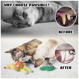 Cactus-shaped toys providing gentle chew therapy, promoting healthy teeth and gums in cats.