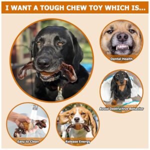 Dog chewing on toy to promote healthy teeth and reduce plaque buildup
