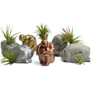 Male body air plant holder – sculptural concrete torso planter.