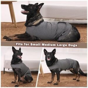 The vest fitted on a dog, showcasing the adjustable design to ensure comfort and a snug fit for all dog breeds and sizes