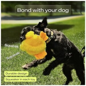 Gift packaging of the dog chew toy set, ideal for dog owners and pet parents.