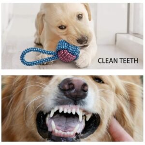 Puppy chewing on a dog toy, promoting dental health and clean teeth.