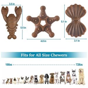 Detailed dimensions of dog chew toys for small, medium, and large breeds.