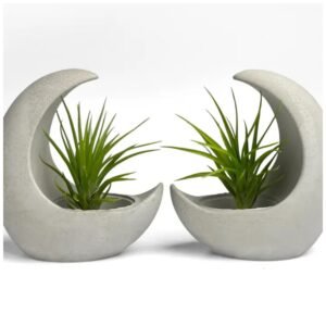 Half moon air plant holder – smooth concrete crescent planter for Tillandsia.