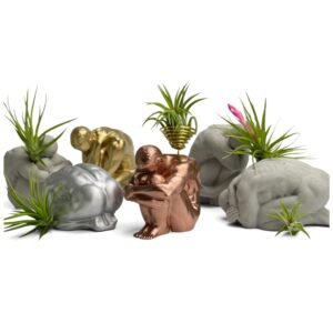 Male body air plant holder – sculptural concrete torso planter.