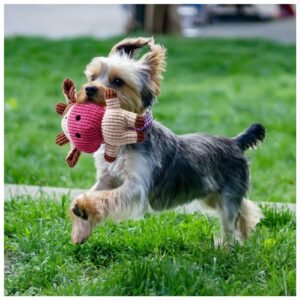 Happy puppy playing with one of the colorful squeaky dog toys from the set.