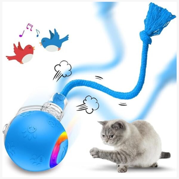 Image showing the View3 cat toy rolling smoothly on various surfaces, including tiles, wood, and carpets