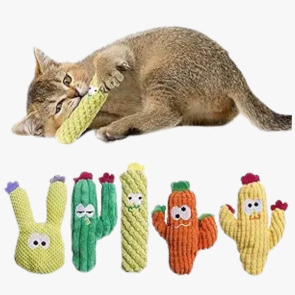 Set of 5 colorful cactus-shaped catnip toys for cats, displayed attractively