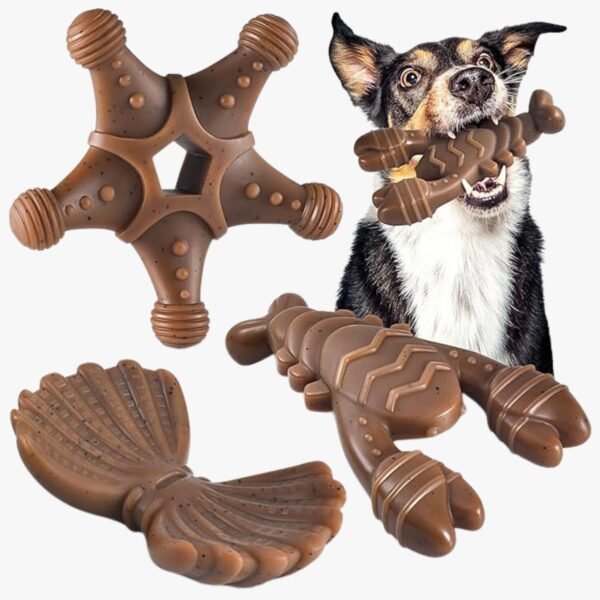 Ocean-themed dog chew toys featuring starfish, shell, and lobster designs.